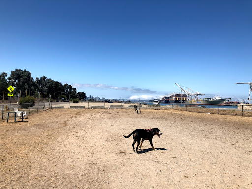 Main Street Dog Park