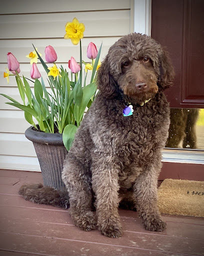 Kennel «Pampered Pets», reviews and photos, 601 Concord Ave, Charlottesville, VA 22903, USA