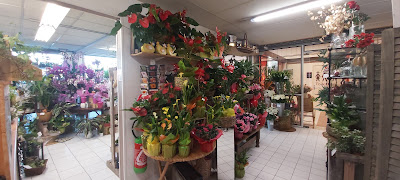 Ambiance des Orchidées à Tournan-en-Brie