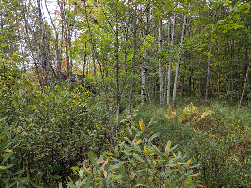 Sightseeing Tour Agency «Acadia National Park Tours», reviews and photos, 53 Main St, Bar Harbor, ME 04609, USA