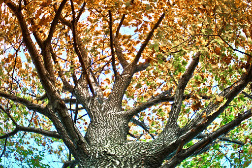 Park «Croton Point Park», reviews and photos, 1 Croton Point Ave, Croton-On-Hudson, NY 10520, USA