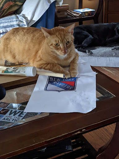 Grocery Store «The Fresh Market», reviews and photos, 3820 N Federal Hwy, Fort Lauderdale, FL 33308, USA