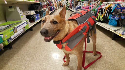 Pet Supply Store «PetSmart», reviews and photos, 1050 McKinley Pl Dr #30, San Marcos, TX 78666, USA