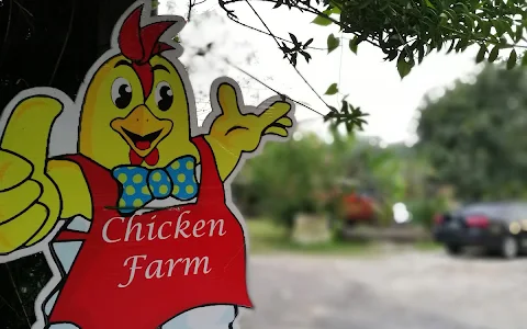 Uncle Rani Organic Chicken Farm image