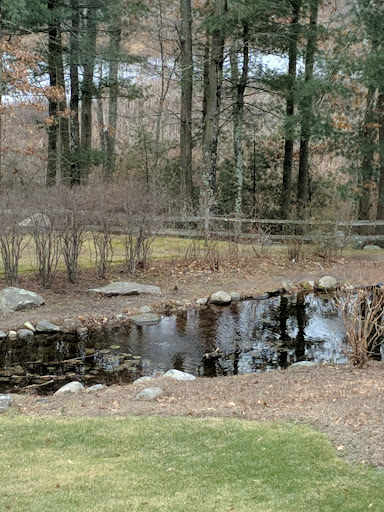 Nature Preserve «The Nature Trail and Cranberry Bog», reviews and photos, 252 Patriot Pl, Foxborough, MA 02035, USA