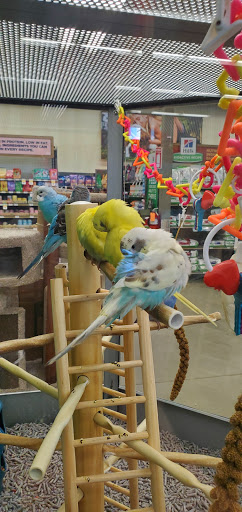 Pet Supply Store «Petco Animal Supplies», reviews and photos, 6720 Fox Centre Pkwy, Gloucester Courthouse, VA 23061, USA