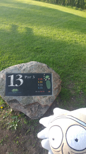 Public Golf Course «Meadowbrook Golf Course», reviews and photos, 201 Meadowbrook Rd, Hopkins, MN 55343, USA