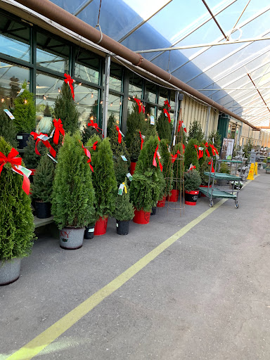 Garden Center «Pike Nurseries», reviews and photos, 615 W Crossville Rd, Roswell, GA 30075, USA
