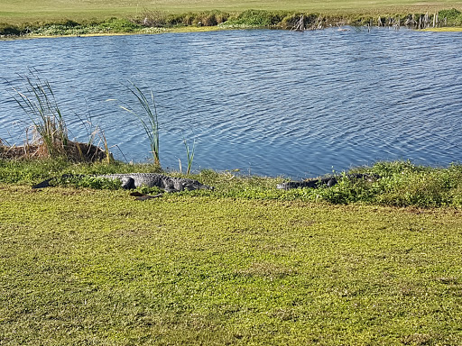 Country Club «Cocoa Beach Country Club», reviews and photos, 5000 Tom Warriner Blvd, Cocoa Beach, FL 32931, USA