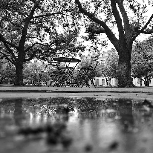 Park «Burnett Park», reviews and photos, 501 W 7th St, Fort Worth, TX 76102, USA