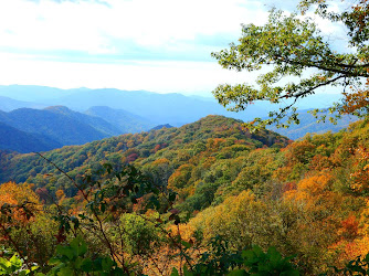 A Walk in the Woods Smoky Mountains hiking and backpacking tours