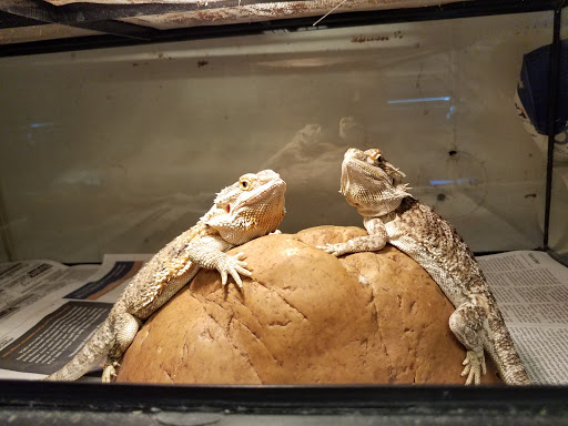 Pet Store «Mike Pet Center LLC», reviews and photos, 133 NJ-35, Neptune City, NJ 07753, USA