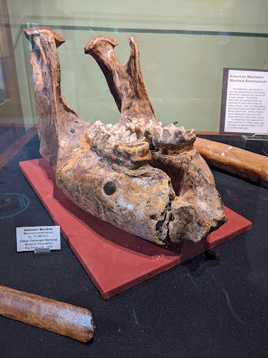 Museum «Behringer-Crawford Museum», reviews and photos, 1600 Montague Rd, Covington, KY 41011, USA