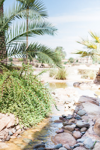 Wedding Venue «Wedgewood Palm Valley», reviews and photos, 2211 N Litchfield Rd, Goodyear, AZ 85395, USA