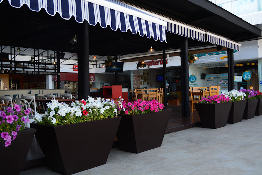 site_photo2