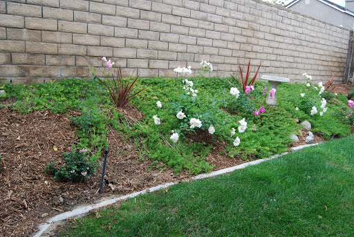 Vision Landscaping image