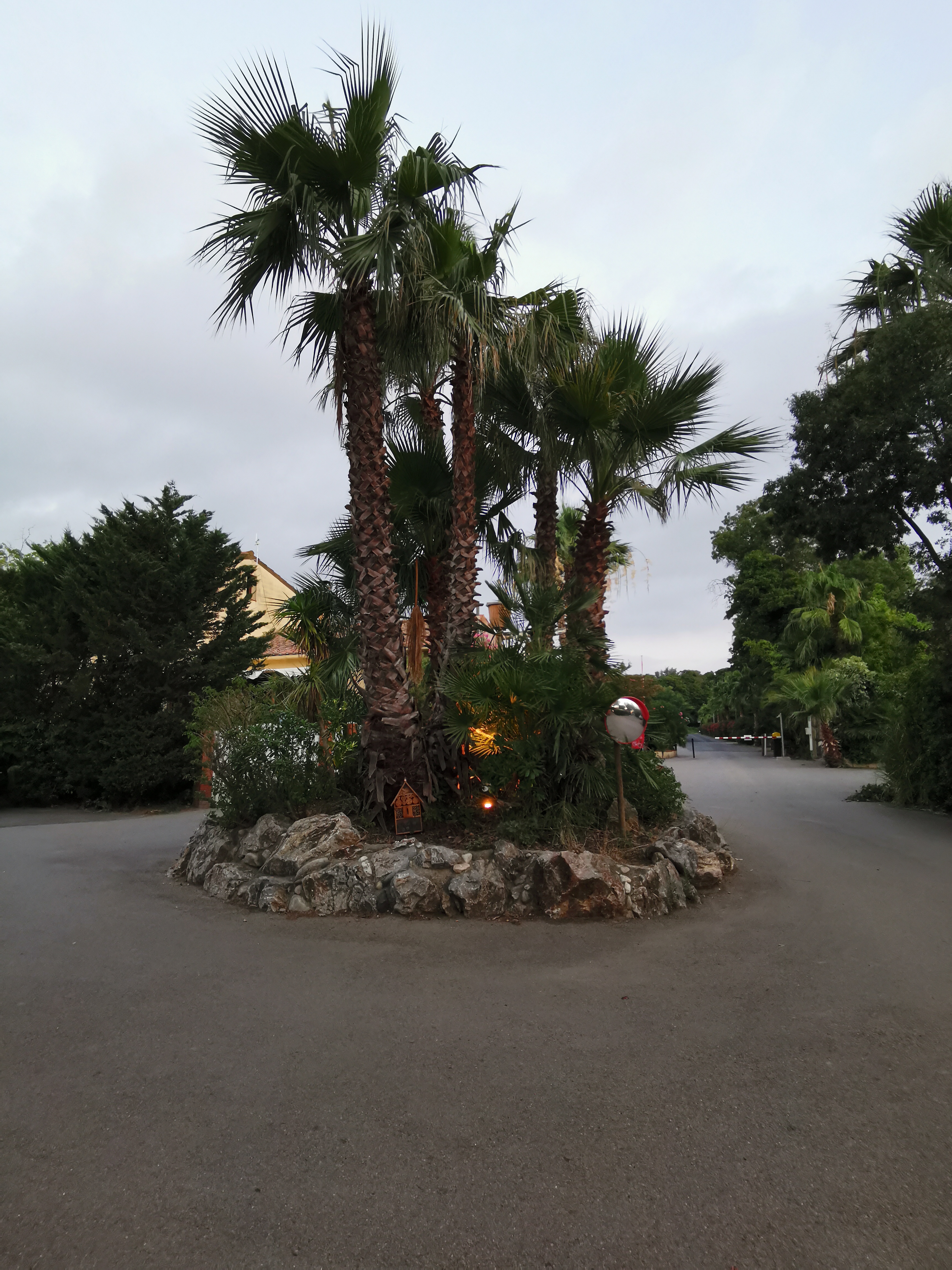 Photo n° 5 de l'avis de Vollkane.t fait le 30/07/2023 à 10:57