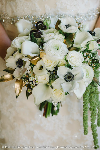 Florist «Florist Fire», reviews and photos, 716 S Village Cir, Tampa, FL 33606, USA