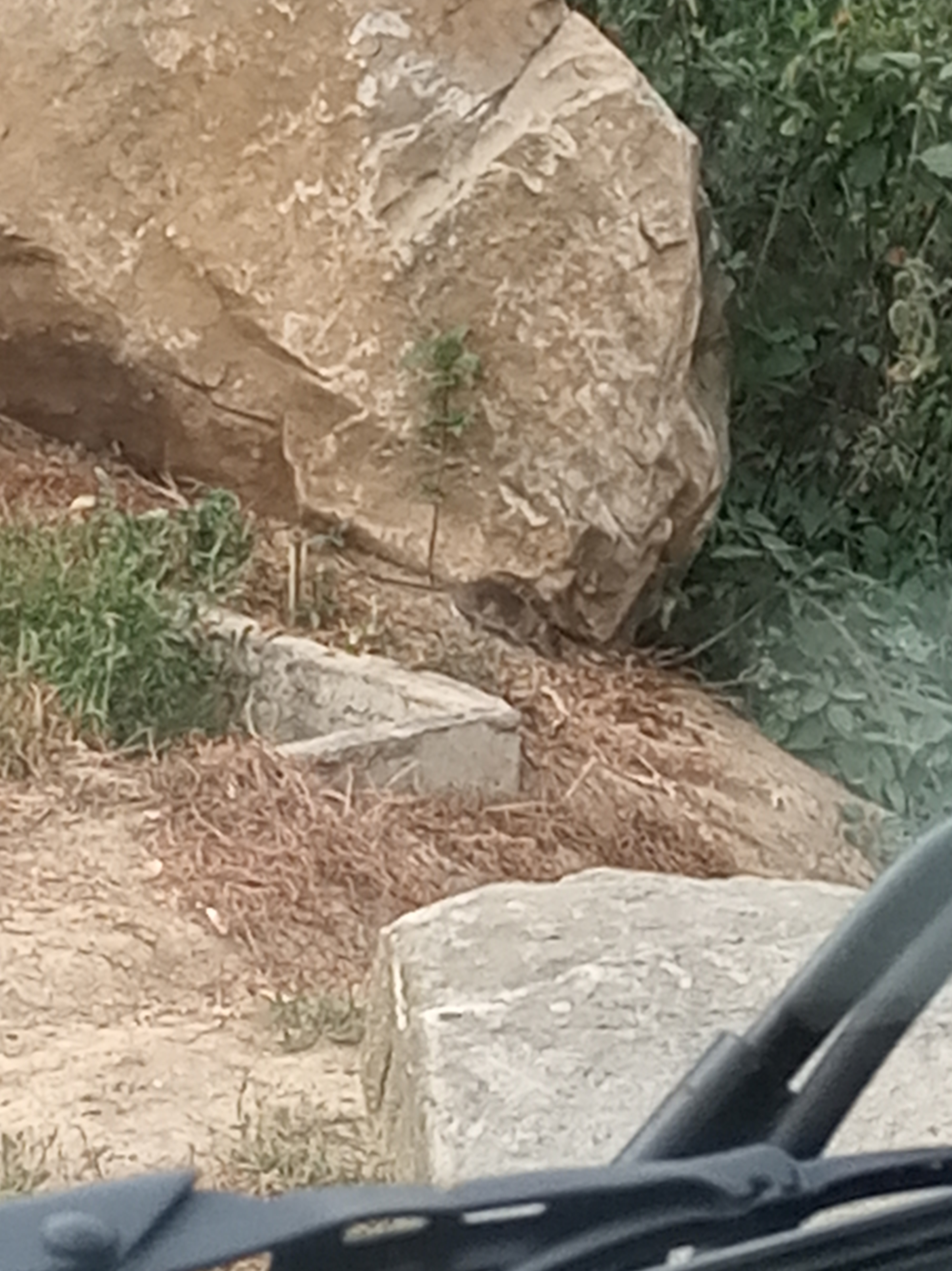 Photo n° 1 de l'avis de FabyolaTagada. fait le 17/07/2019 à 19:35