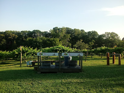 Treehouse Vineyards