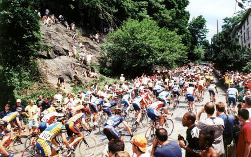 Vineyard «Boordy Vineyards», reviews and photos, 12820 Long Green Pike, Hydes, MD 21082, USA