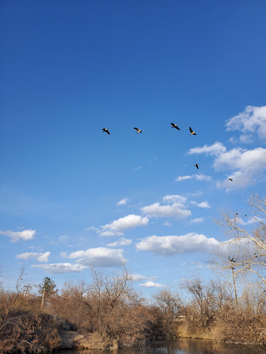 Nature Preserve «Wilson Springs Ponds», reviews and photos, 3209-3507 S Powerline Rd, Nampa, ID 83686, USA