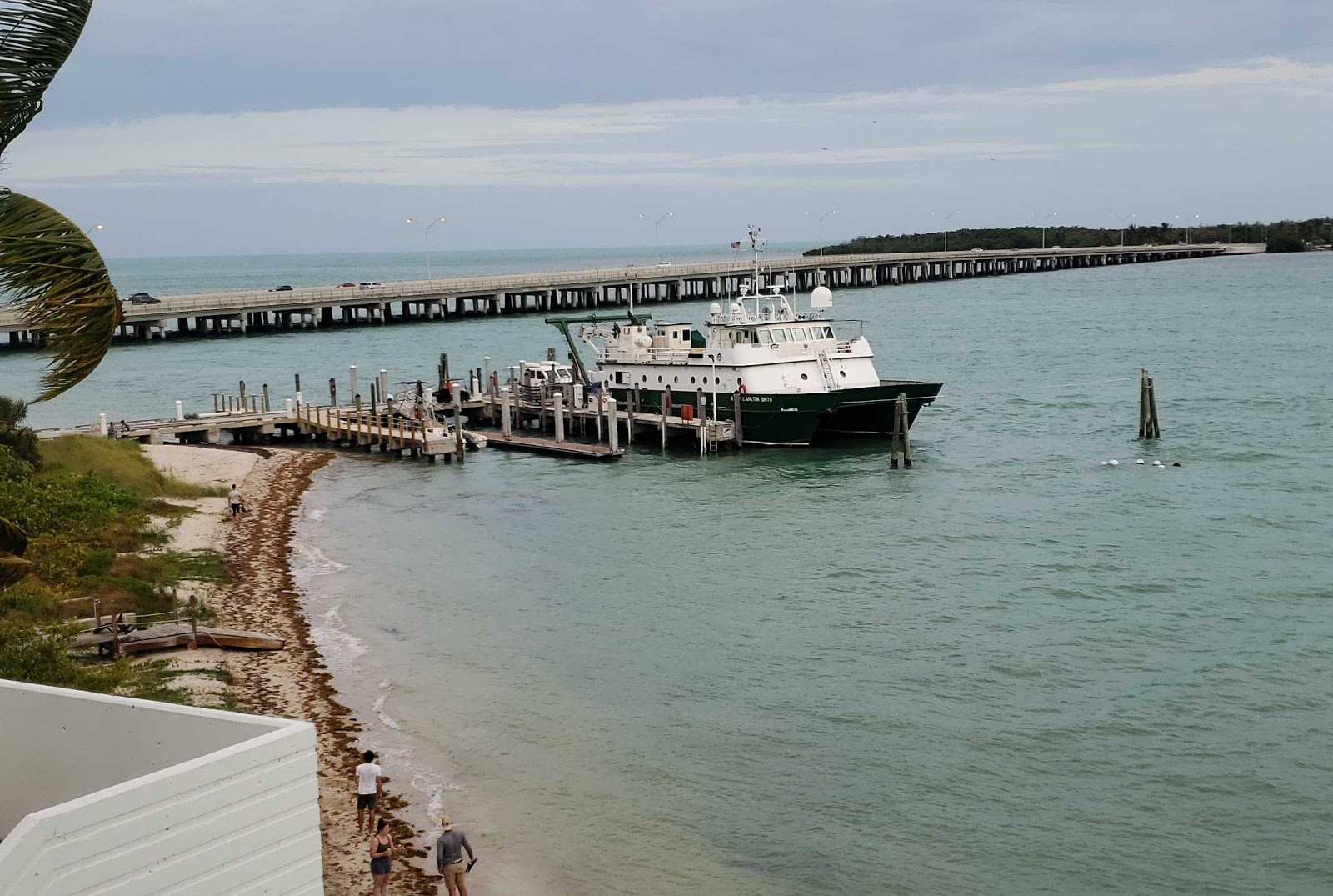 Darwin Beach'in fotoğrafı çok temiz temizlik seviyesi ile