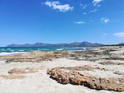 Platja de Son Real'in fotoğrafı biraz temiz temizlik seviyesi ile