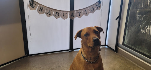 Pet Supply Store «Unleashed by Petco», reviews and photos, 600 Redondo Ave, Long Beach, CA 90814, USA