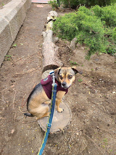 Park «Titus Sparrow Park», reviews and photos, 200 W Newton St, Boston, MA 02118, USA