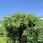 Photo n°2 de l'avis de Roberta.i fait le 31/08/2022 à 06:03 sur le  Antica Cantina - ristorante valmontone à Valmontone