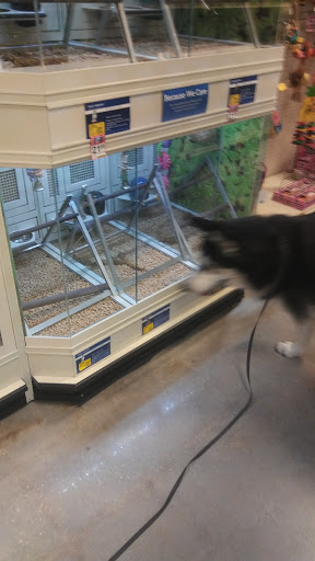 Pet Supply Store «PetSmart», reviews and photos, 4510 S US Hwy 17 92, Casselberry, FL 32707, USA