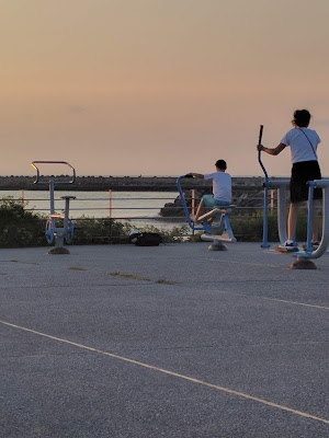 Roller Euskal Herrian Association à Anglet