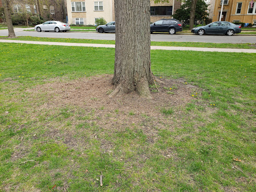 Park «Indian Boundary Park», reviews and photos, 2500 W Lunt Ave, Chicago, IL 60645, USA