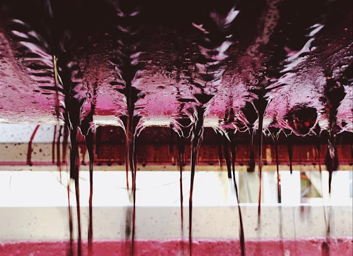 Winery «21 Brix Winery», reviews and photos, 6654 West Main Road, Portland, NY 14769, USA