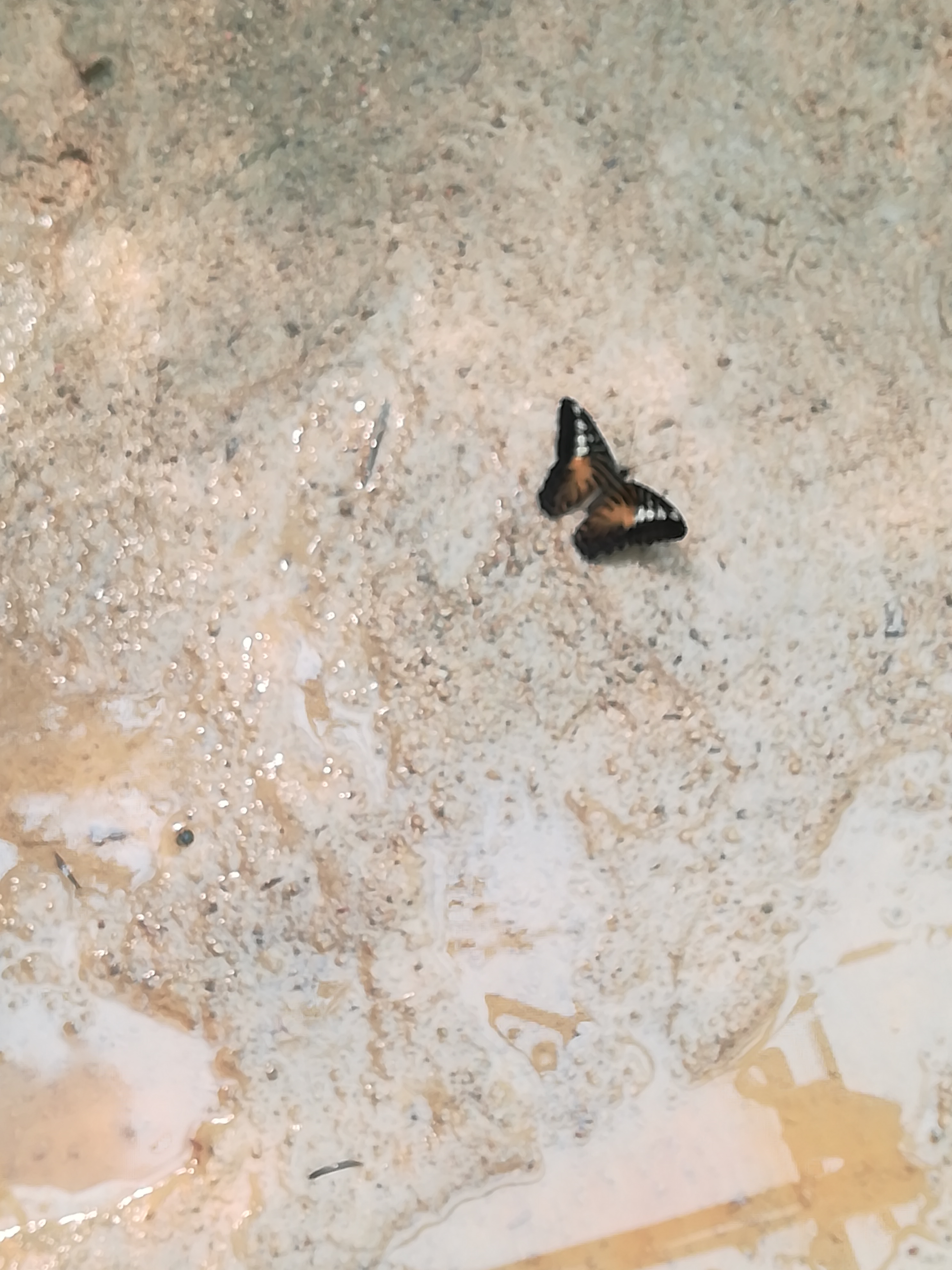 Photo n° 2 de l'avis de Kevin.a fait le 11/08/2019 à 20:37