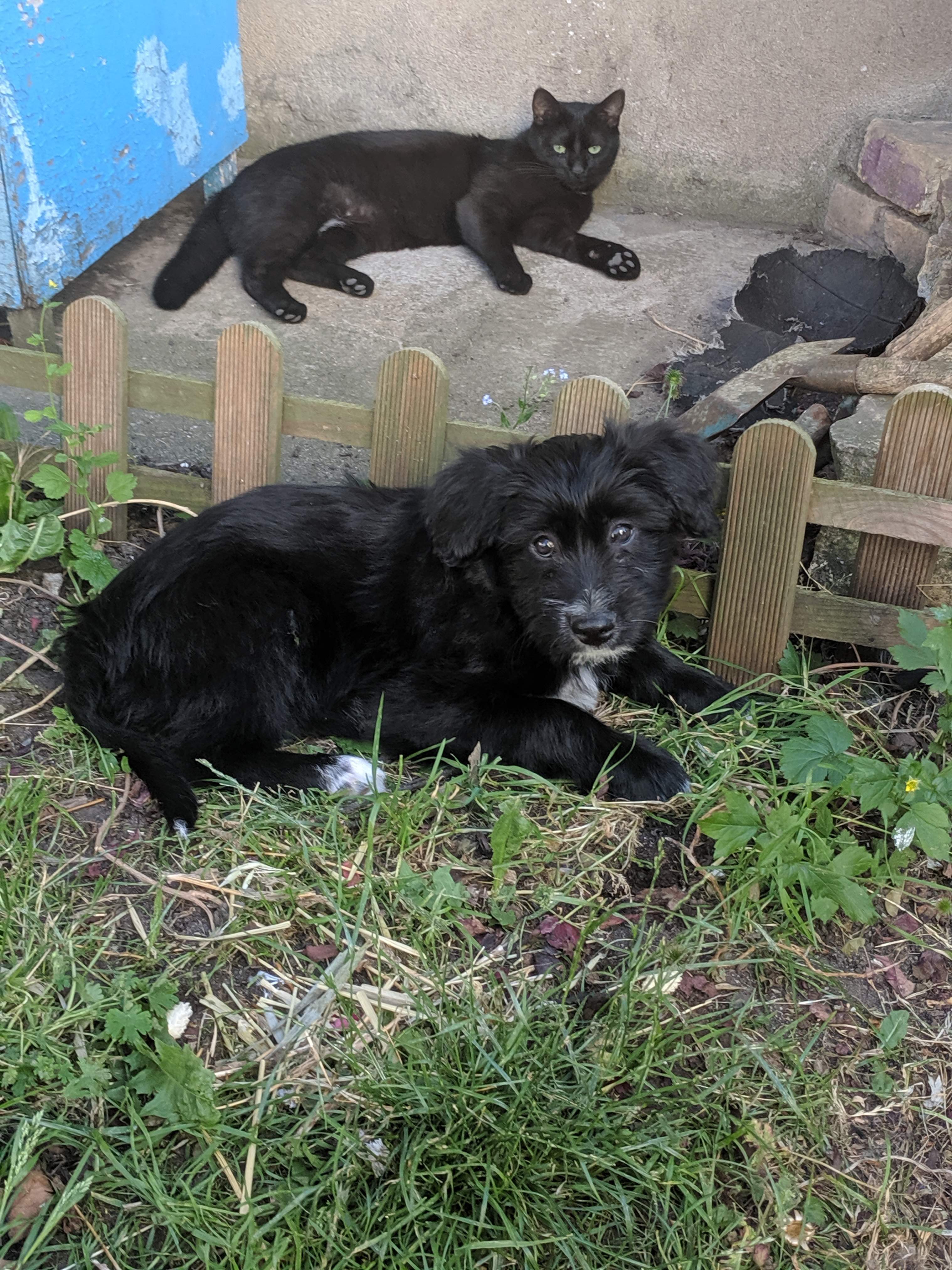 Photo n° 1 de l'avis de Cheerldr.v fait le 02/07/2019 à 16:44