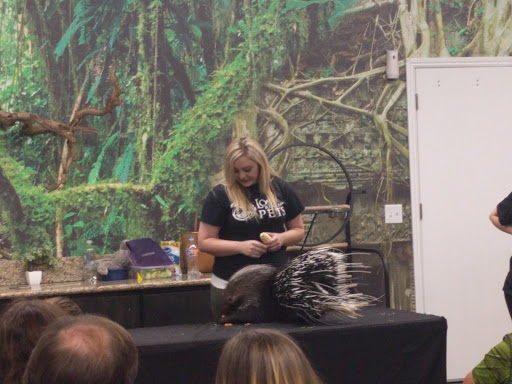 Pet Store «Lost Realms Pets», reviews and photos, 8059 N Cedar Ave, Fresno, CA 93720, USA