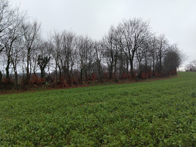 Gérault Teddy à Tinchebray-Bocage