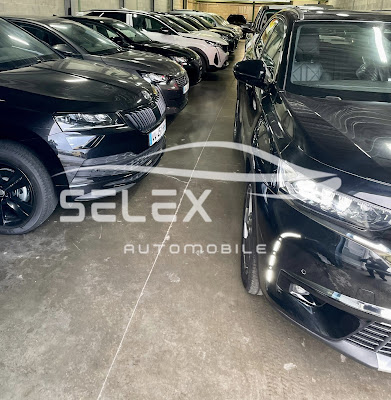 Selex Automobile à Stains