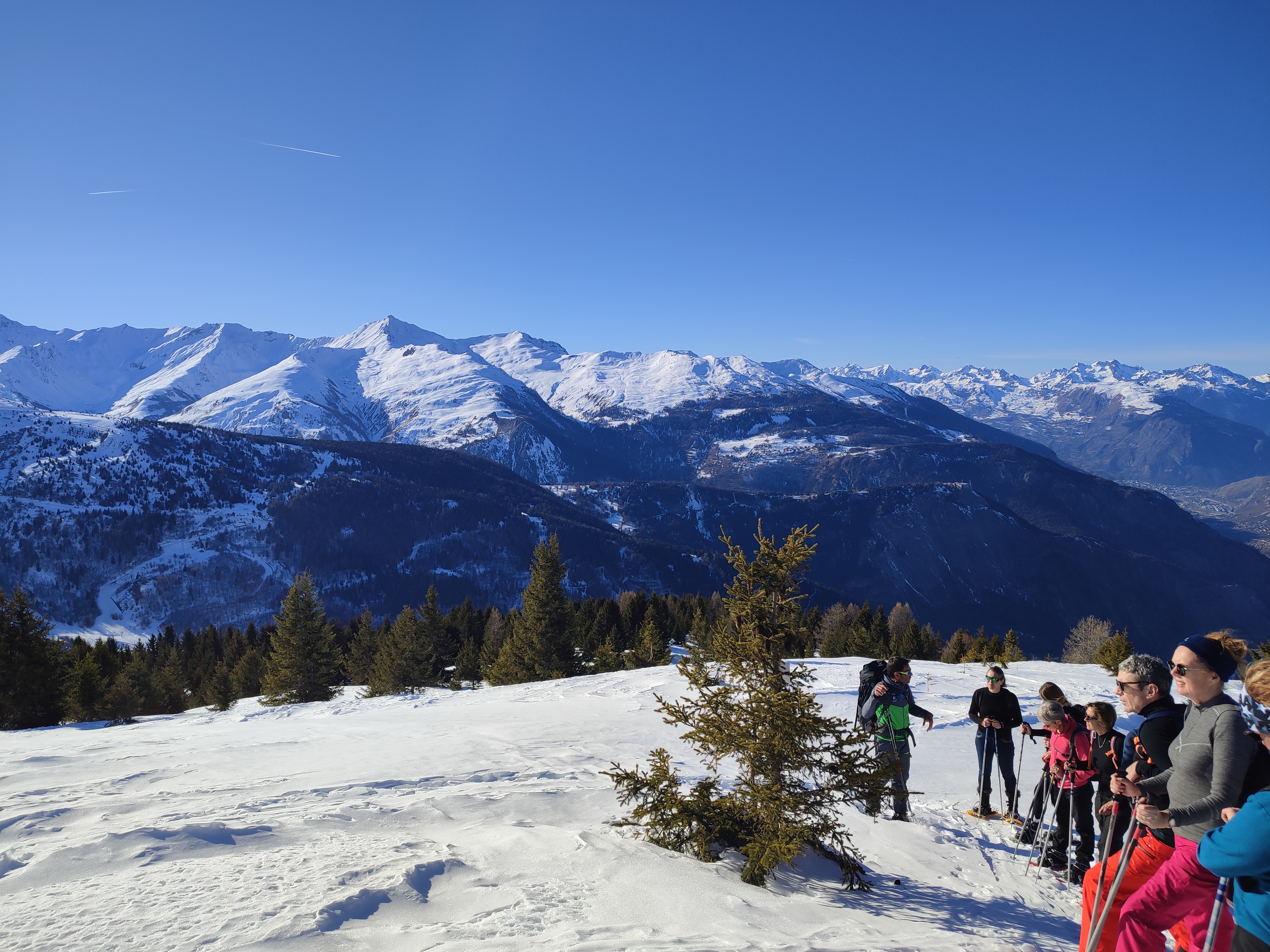 Photo n° 2 de l'avis de Vero.e fait le 19/02/2023 à 13:02