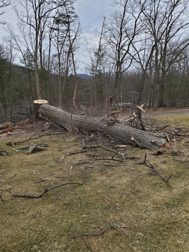 Golf Course «Knoebels Three Ponds Golf Club», reviews and photos, 954 PA-487, Elysburg, PA 17824, USA