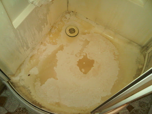 House Cleaning Service «MOLLY MAID of Southwest Cook County», reviews and photos, 17732 Oak Park Ave #D, Tinley Park, IL 60477, USA