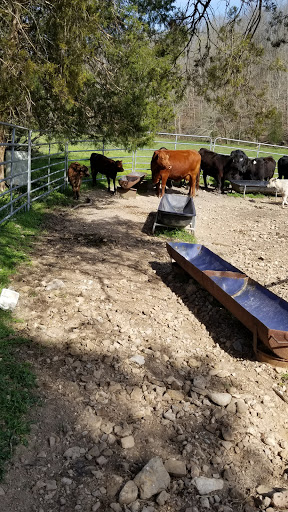 Event Venue «Old Spencer Mill», reviews and photos, 399 Old Spencer Rd, Burns, TN 37029, USA