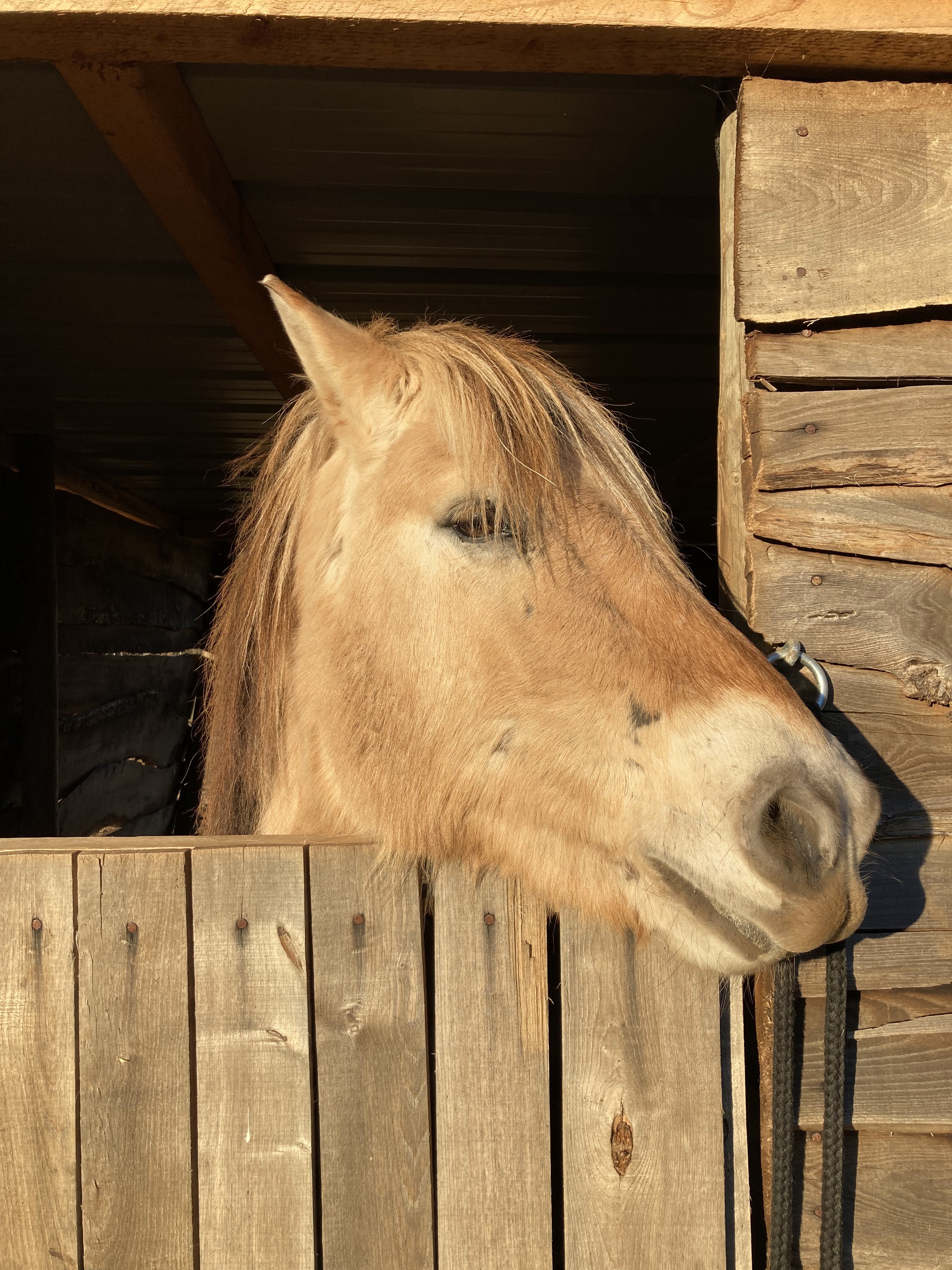 Photo n° 7 de l'avis de Claire.O fait le 18/12/2021 à 17:50