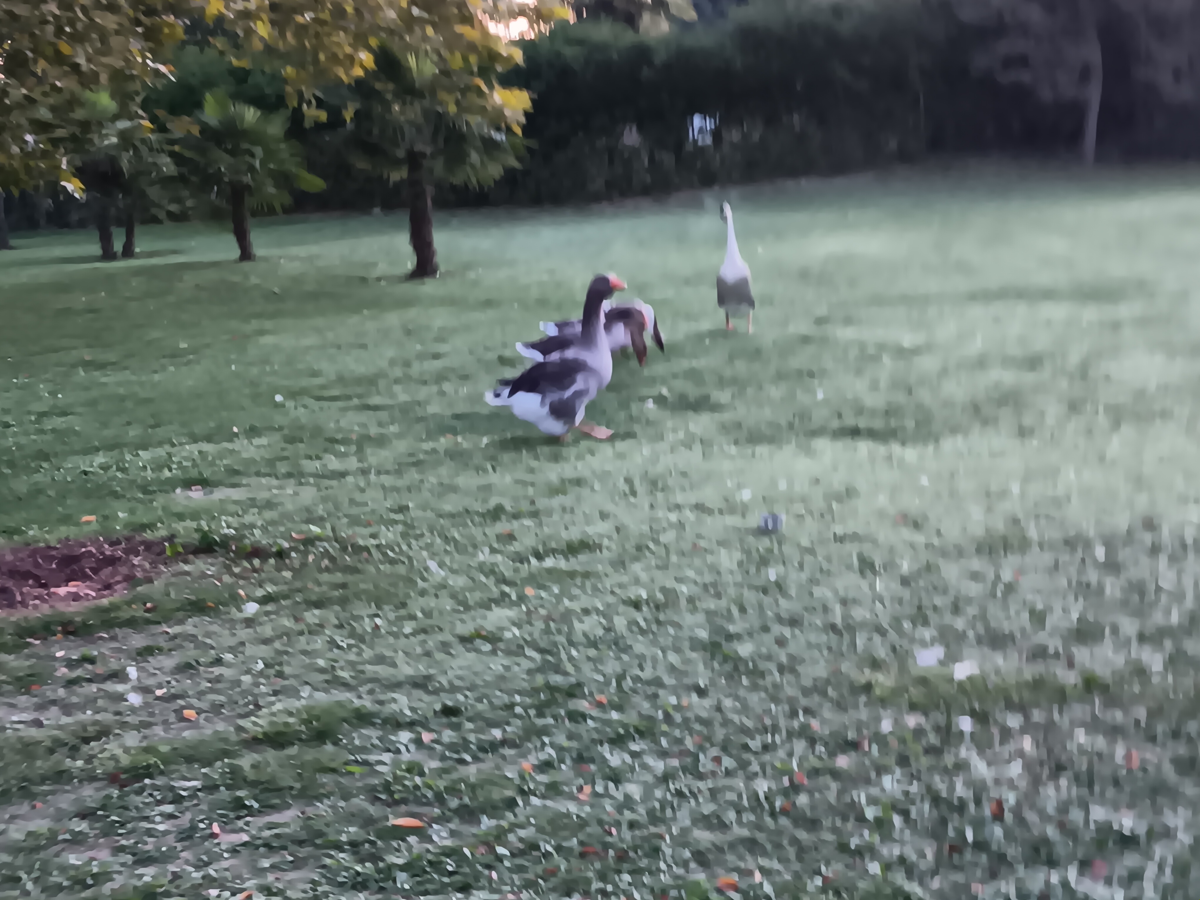 Photo n° 4 de l'avis de Julien.E fait le 10/10/2023 à 05:54