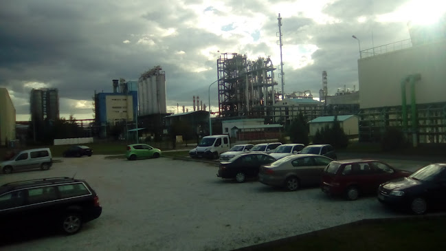 Értékelések erről a helyről: Taghleef Industries Kft., Tiszaújváros - Építőipari vállalkozás