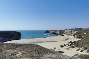 Coast Dairies State Beaches image