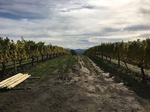 Winery «David Hill Vineyards & Winery», reviews and photos, 46350 NW David Hill Rd, Forest Grove, OR 97116, USA