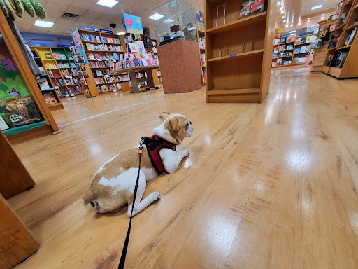 Book Store «BookPeople», reviews and photos, 603 N Lamar Blvd, Austin, TX 78703, USA